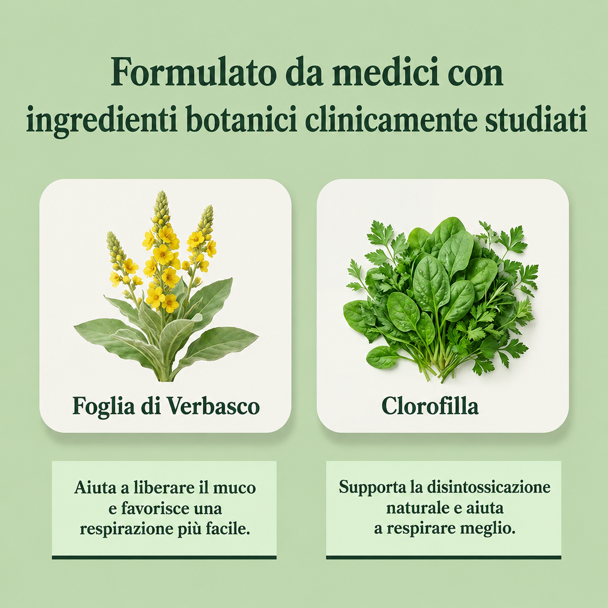 Miluro AirFlow™ - Estratto di Verbasco + Clorofilla